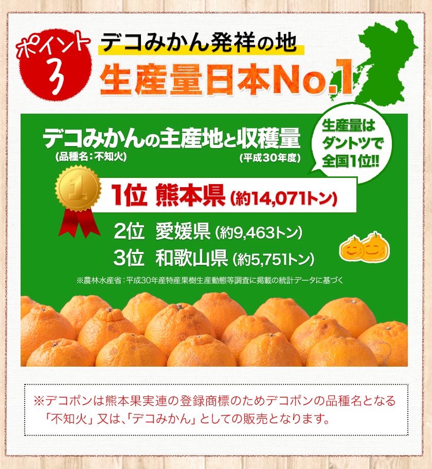 訳あり デコみかん 4.5kg 送料無料 不知火 みかん ミカン 熊本県産 訳あり デコポン と同品種 熊本 柑橘 目玉商品 くまもと風土《3月末頃～4月中旬頃より発送予定》【エコ得リリースSALE】