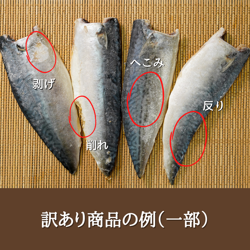 【訳あり】旨味たっぷり金華鯖の干物（10枚セット）　干物　傷あり 訳あり おうちごはん プチ贅沢 無添加 国産  宮城産 グルメ お買得 まとめ買い 海鮮 金華鯖 金華サバ