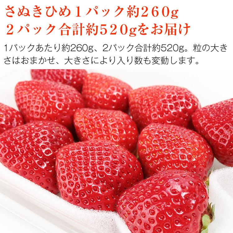 【※使わない方】さぬきひめ いちご 2パック 合計約520g 香川県産