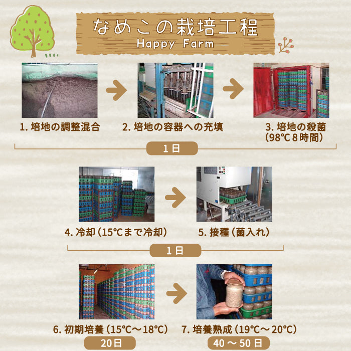 なめこ　100g×20パック入　福島県郡山産　まとめ買い　シェア買い　クール便 (クール便)