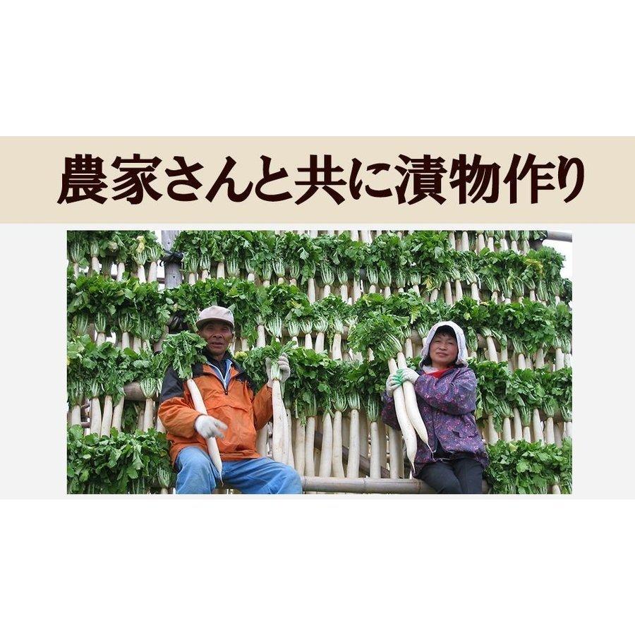九州高菜 4袋 (150g×4袋) 送料無料 ご飯のお供 ふりかけ 食品 お試し 国産 ギフト お取り寄せ グルメ 漬物 鹿児島 宮崎
