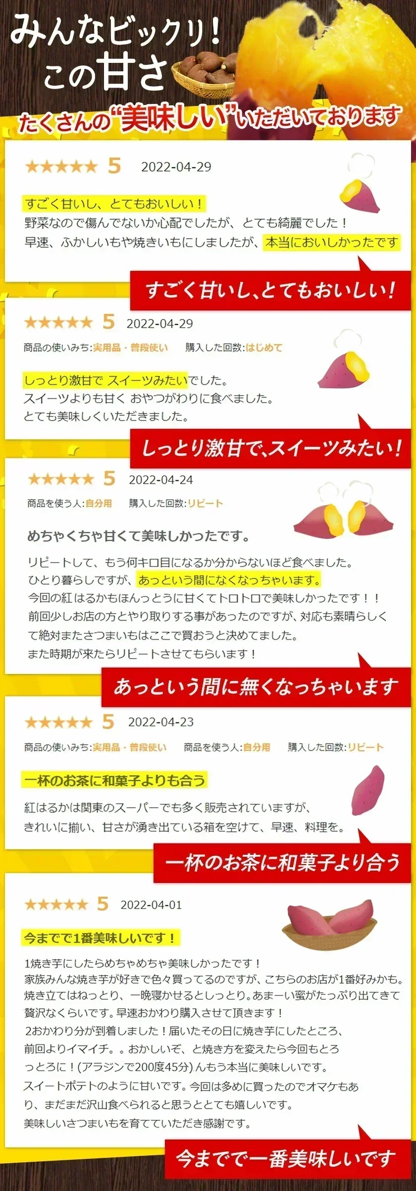 さつまいも 熊本県産 訳あり 紅はるか べにはるか 1kg 送料無料 ※大中小サイズ混合(不選別 ) 焼き芋 さつま芋 薩摩芋《3-7営業日以内に出荷予定(土日祝除く)》【ゲリラセール】
