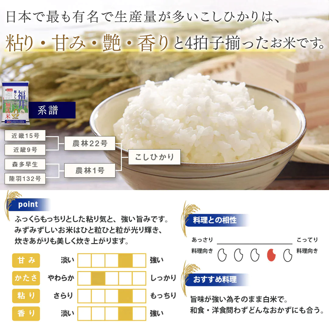 無洗米 米 福井県産 こしひかり 20kg (5kg×4) 令和5年産 新米 お米 白米 おくさま印 国産 食品 ギフト 引っ越し 挨拶 出産 内祝い 母の日 父の日 お中元 お歳暮 結婚 快気 還暦 香典返し お年賀 送料無料