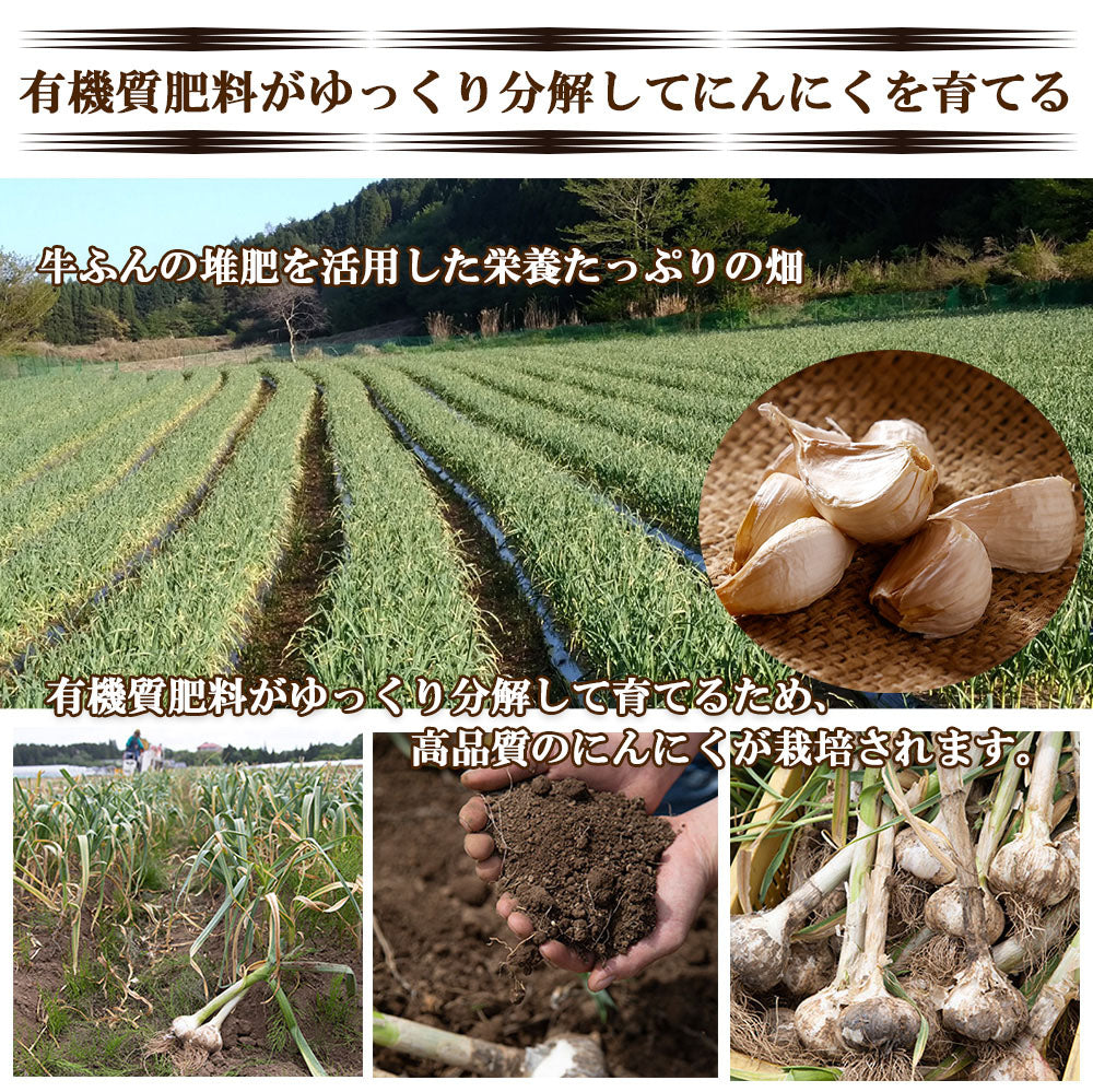 【最安値挑戦祭】にんにく ニンニク 乾燥にんにく 1kg バラ大粒 ガーリック 産地直送 国産 大分県日田産