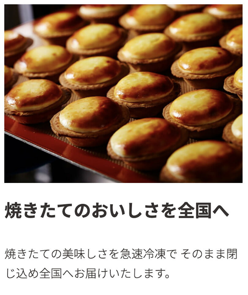 Kコンフェクト 焼きたてチョコチーズタルト 3個入×2個 セット 送料無料 焼きたてチーズタルト チョコチーズタルト 北海道  チョコ 人気 お土産 お取り寄せ スイーツ 新千歳空港 第1位 チーズムース クッキー 誕生日 個包装 贈り物 ギフト プレゼント 母の日