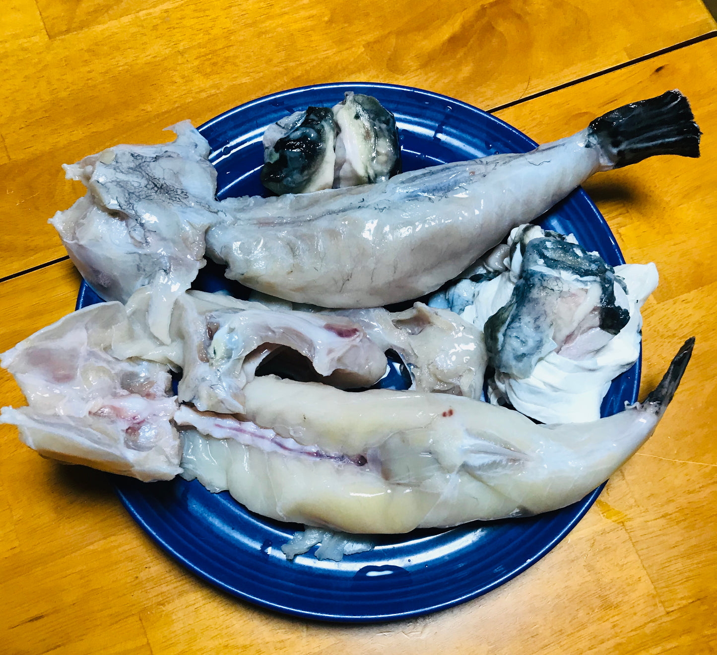 2尾 国産とらふぐみがき（生食可)