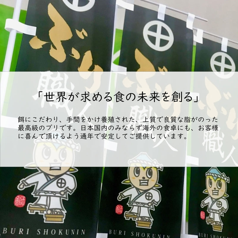 鹿児島産ぶり・冷凍  ぶりしゃぶ・刺身 2パックセット（18枚入り/パック）