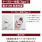 （ブラック）iCarry 5V2.4A スリム タイプC コンセント スマホ充電器 【Type-C 12W 急速充電】17-AC11C