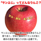 サンふじ 訳あり 約5kg 12-25玉＃YAF0B050