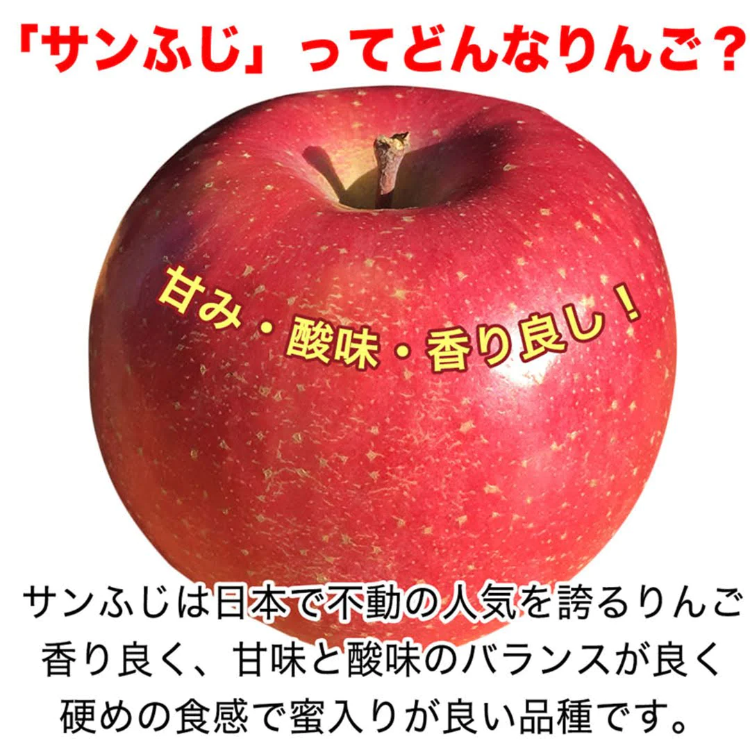 サンふじ 訳あり 約5kg 12-25玉＃YAF0B050