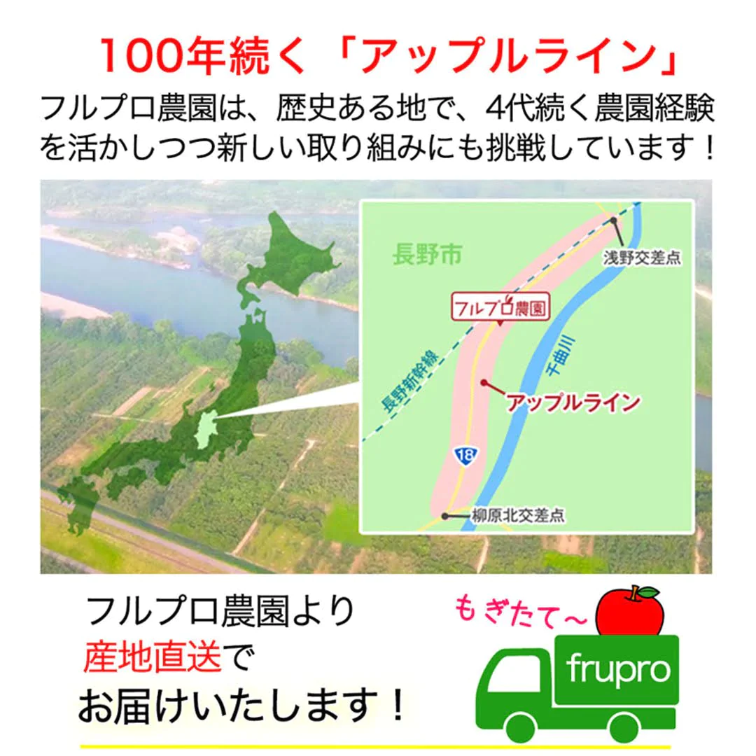 サンふじ 加工用 約3kg 7-16玉＃YAF0K030
