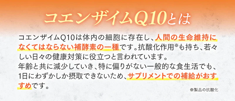 CoQ10×18R 2袋セット【エコ得】