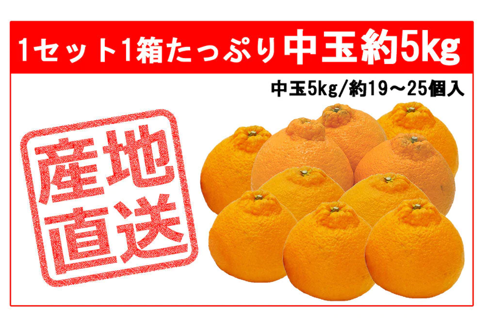 不知火 (デコポン) 5kg 中玉 送料無料 ご家庭用 箱買い みかん 柑橘 フルーツ 果物 産地直送 愛媛県産 YDF-010