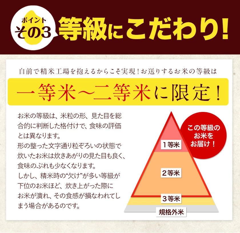【熊本コレクション】【新米 令和4年産】ひのひかり 米 10kg 送料無料 (5kg ×2袋)【4年産】単一原料米 単一米 米 熊本県産 ヒノヒカリ コメ 精米 白米 《1-5営業日以内に発送予定(土日祝日除く)》