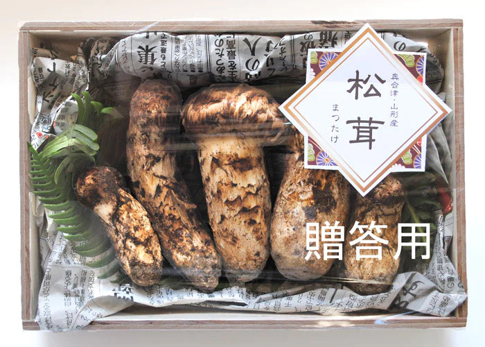 奥会津・山形産 松茸 つぼみ 贈答用 200g (3～4本) * (クール便)