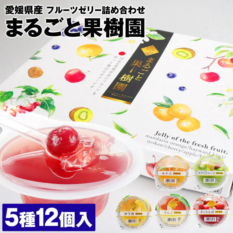 ゼリー 詰合せ まるごと果樹園 フルーツゼリー 詰め合わせ 5種食べ比べ 12個入り 愛媛県産 伊予柑  フルーツ  化粧箱