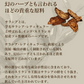 【SUPER在庫処分市】サラシア ダイエットサプリ　約1ヶ月分 送料無料 健康 サプリメント サプリ ダイエット サラシア さらしあ 油 糖分 炭水化物