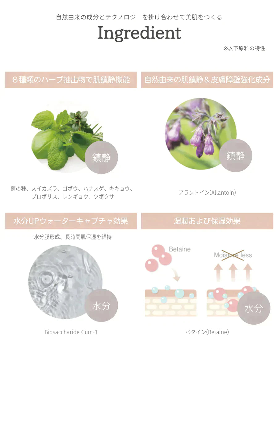 リリベス(LILIBETH) パーフェクトフィッティングフルカバレッジクッションファンデーション　カラー#23 ロージーバニラ