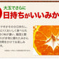 【ご新規さんとシェア買い】大粒 みかん 訳あり 1.5kg 熊本 送料無料 フルーツ 訳ありみかん 5kg以下 10kg以下 大玉 家庭用 果物 柑橘 食品 蜜柑 フルーツ 果物
