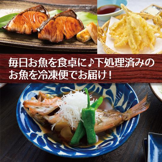 下処理済みおまかせお魚セット ４～６種入り【送料無料】