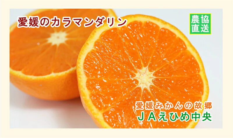 【みかん カラマンダリン 南津海 愛媛県】愛媛県の農協 JAえひめ中央 愛媛のカラマンダリン(南津海） 5kg農協産地直送便でお届け【ギフト 贈り物 プレゼント】