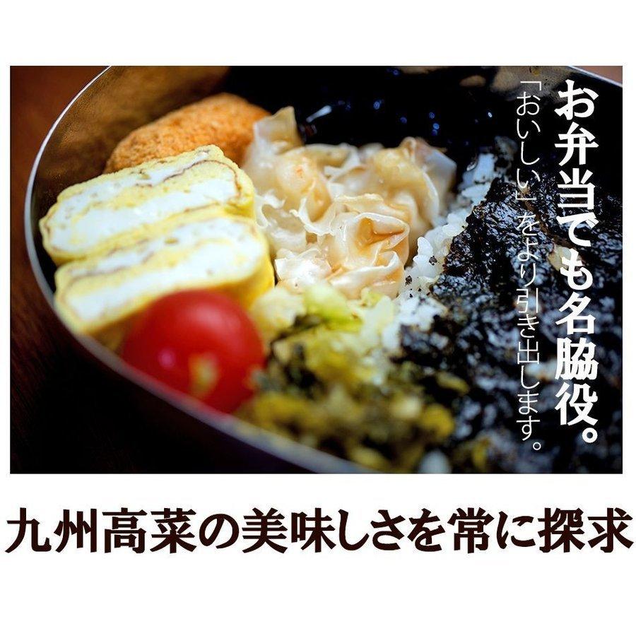 九州高菜 4袋 (150g×4袋) 送料無料 ご飯のお供 ふりかけ 食品 お試し 国産 ギフト お取り寄せ グルメ 漬物 鹿児島 宮崎