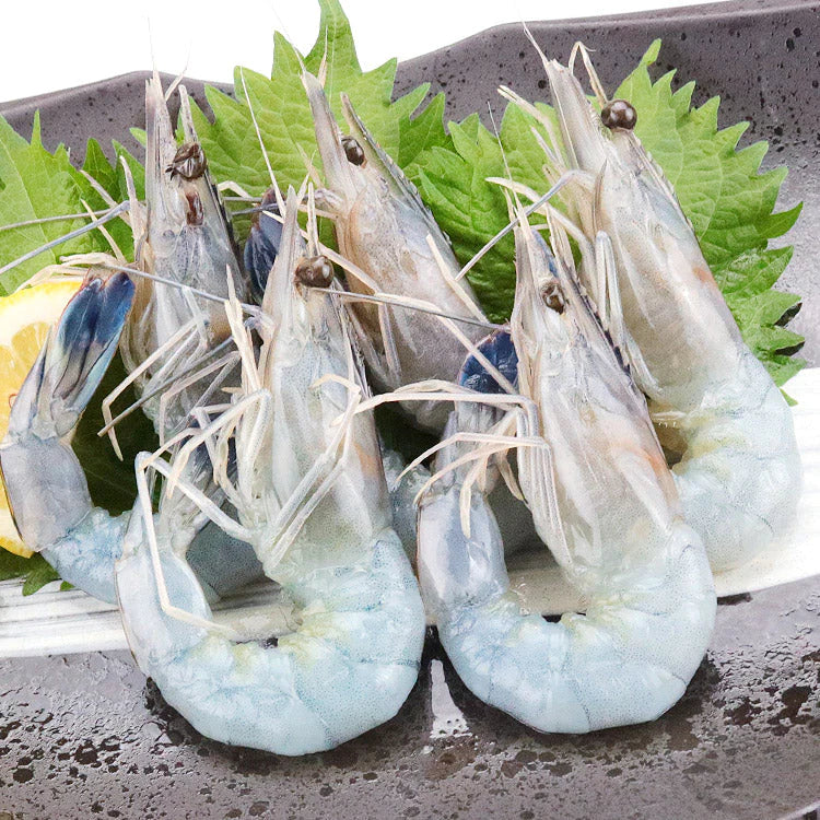 天使の海老 1kg 40~50尾入 送料無料 海老 えび エビ 生食用 刺身 冷凍便 お取り寄せグルメ 食品 ギフト 海鮮