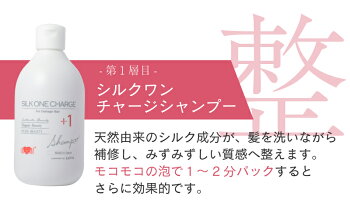 【お得な詰替パウチ】美容室専売品 シルクワン チャージ シャンプー (500ml)詰め替え用◆プロ仕様 高級 シャンプー 東京 ハホニコ EARTHEART ヘアメイクアース 髪質改善 ダメージケア