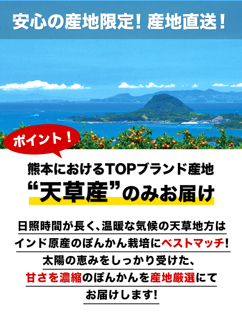 【販売解禁】訳あり 甘熟 ポンカン 5kg 送料無料  甘い みかん ぽんかん デコポン の生みの親 箱買い みかん 柑橘 旬の果物 くまもと風土 熊本県産 みかん【最安値に挑戦】2月上旬-2月末頃より発送予定