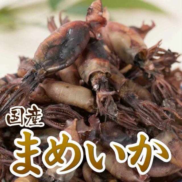 100g 国産 まめいか
