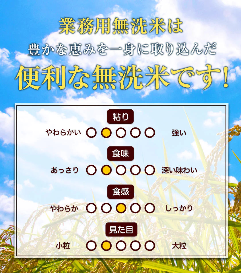 業務用 無洗米 10kg (5kg×2) 送料無料【無洗米の最安値に挑戦中】コメ お徳用 無洗米 白米 非常食 保存食 業務用 訳あり