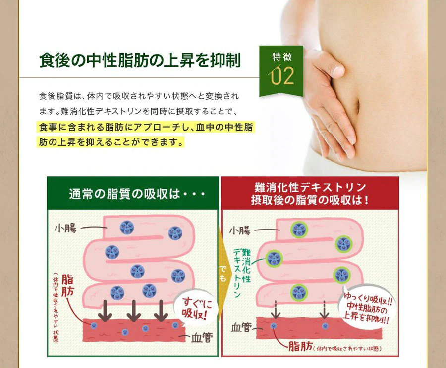 【賞味期限間近のため特別価格！】機能性表示食品　快糖茶＋30袋　食後の血糖値や中性脂肪の上昇を抑える　お腹の調子を整える