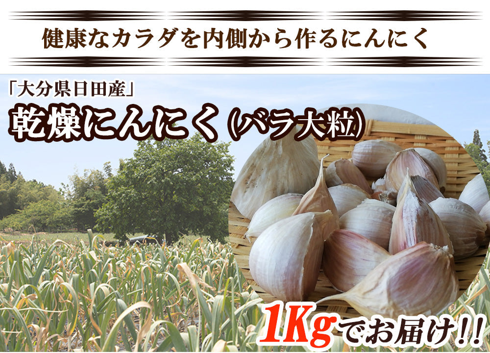 【最安値挑戦祭】にんにく ニンニク 乾燥にんにく 1kg バラ大粒 ガーリック 産地直送 国産 大分県日田産