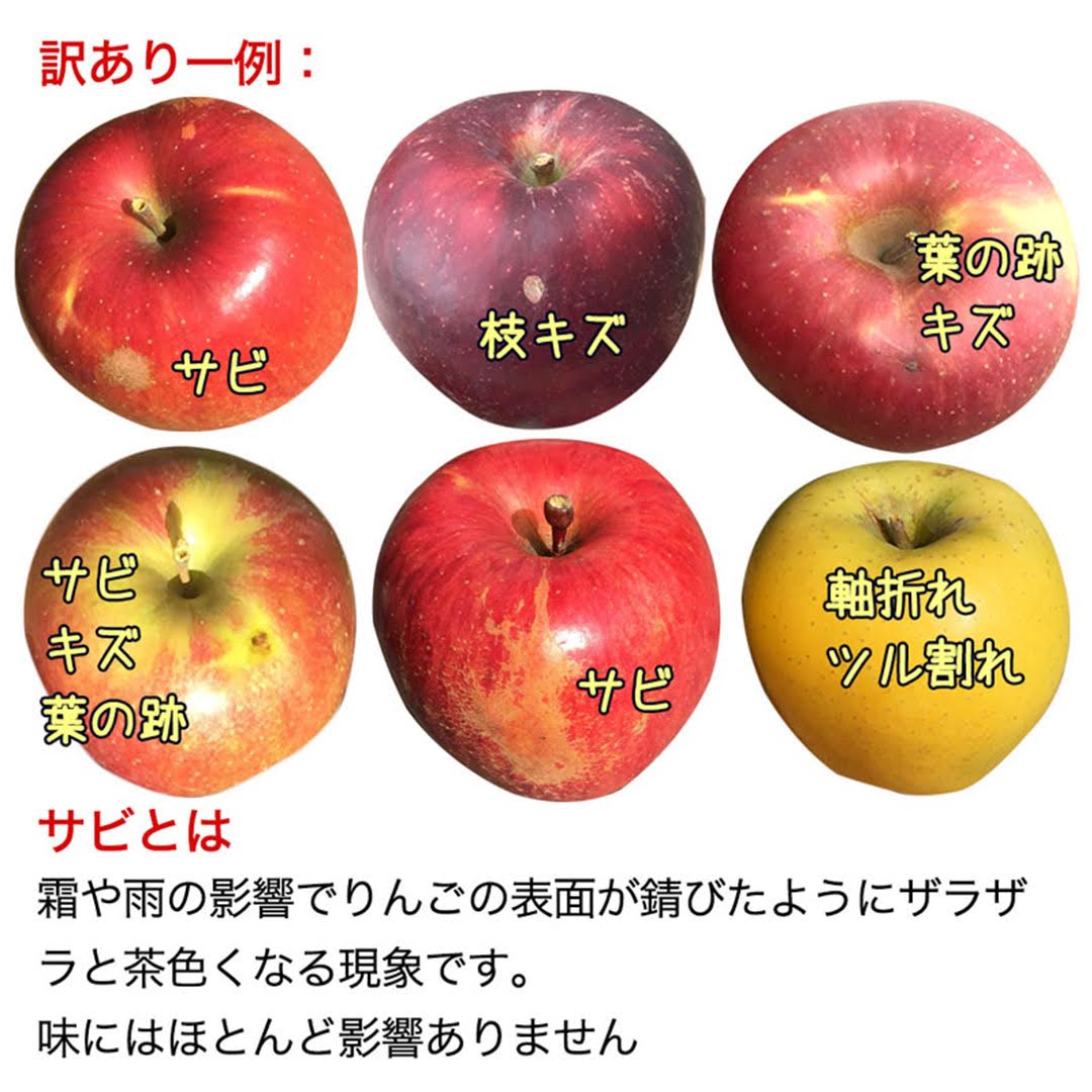 【2023年産予約開始！数量限定！】シナノゴールド 訳あり 約4.5kg(11-28玉) パリっと歯ごたえジューシー 10月下旬頃発送開始予定 #YAG0B045