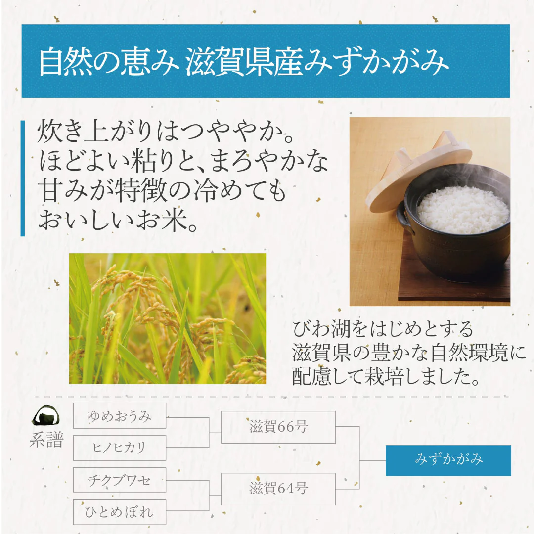 米 精米 滋賀県産 近江米 みずかがみ 10kg (5kg×2) 令和5年産 新米 お米 白米 おくさま印 国産 食品 ギフト 引っ越し 挨拶 出産 内祝い 母の日 父の日 お中元 お歳暮 結婚 快気 還暦 香典返し お年賀 送料無料