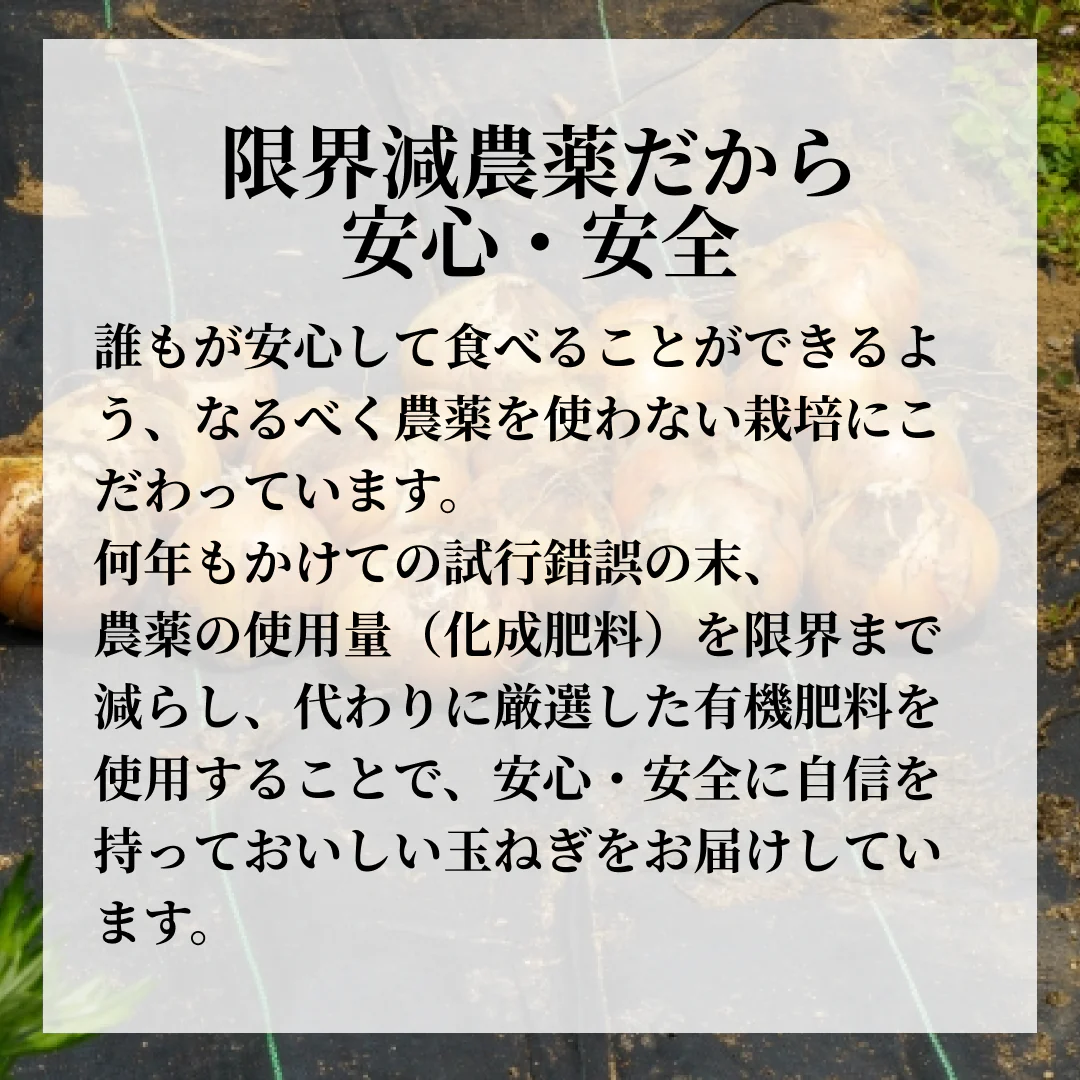 [7-9個]訳あり玉ねぎ3kg🧅シャーロットオニオン🧅淡路島極熟玉葱🧅送料無料 たまねぎ タマネギ【ゲリラセール】