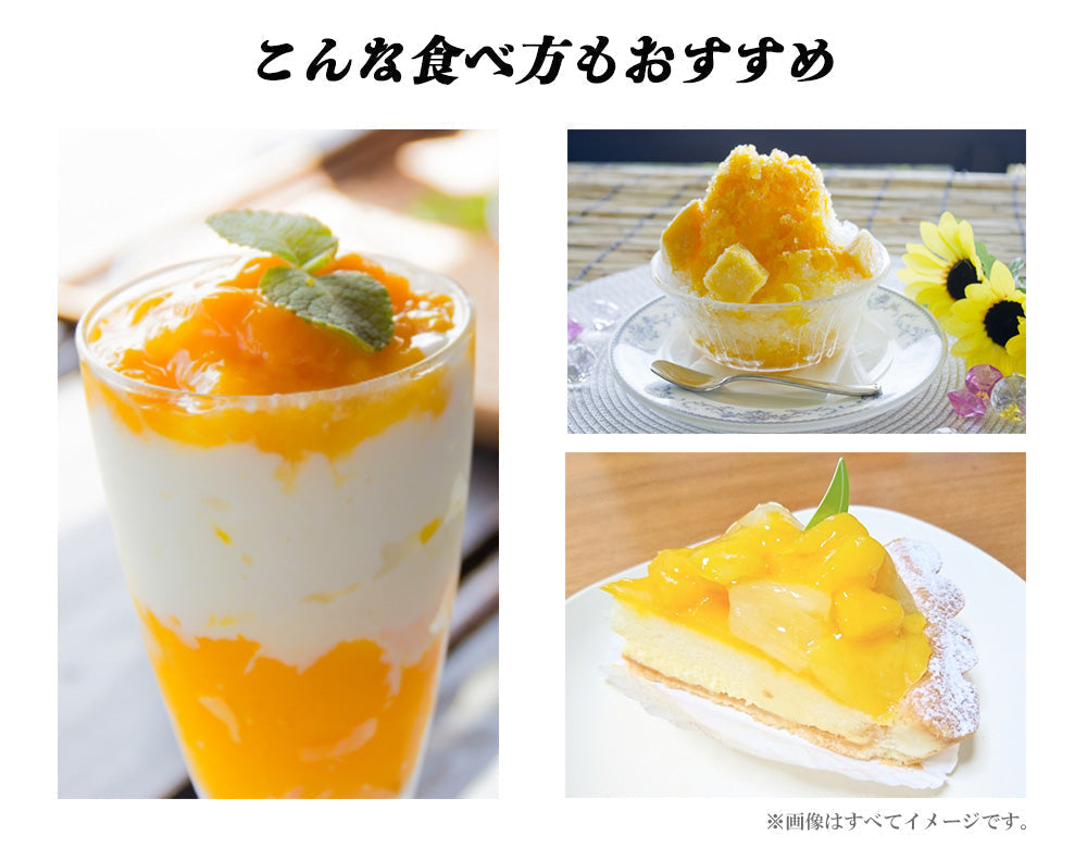 【予約販売 7月20日より順次出荷】マンゴー 訳あり 1kg 2玉 送料無料 完熟マンゴー フルーツ くだもの 果物 家庭用 産地直送 鹿児島県産 ngs-000