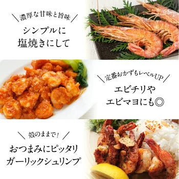 ニューカレドニア産　天使の海老 1kg 40/50サイズ 40～50尾入り［冷凍のみ］【送料無料】【4～5営業日以内に出荷】