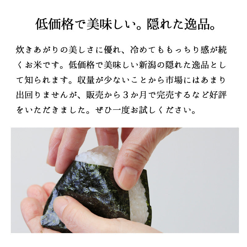 米 10kg みずほの輝き お米 新潟産 白米 10キロ 令和3年産