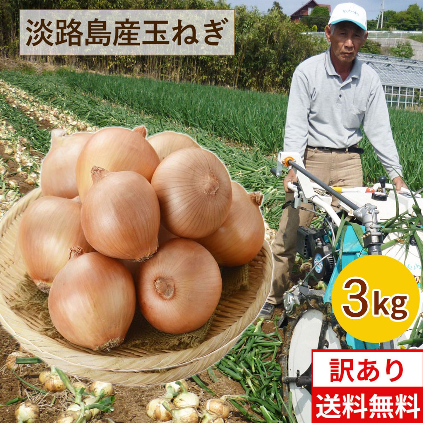 【訳アリ】3キロ 淡路島 玉ねぎ