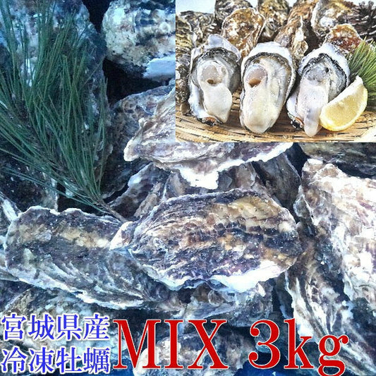 牡蠣 殻付き 牡蠣 ３ｋｇ ＭＩＸ 冷凍便 送料無料！3キロ 宮城県産 殻付き牡蠣 殻付き 殻付 カキ 加熱用 松島牡蠣屋 無選別牡蠣 「牡蠣 MIX３ｋｇ」【80】