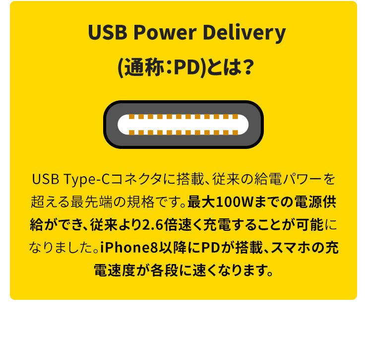 iPhone SE 充電ケーブル Type-C to Lightning 1m 急速充電 3A PD対応 INOVA(3R-NCR051BK)