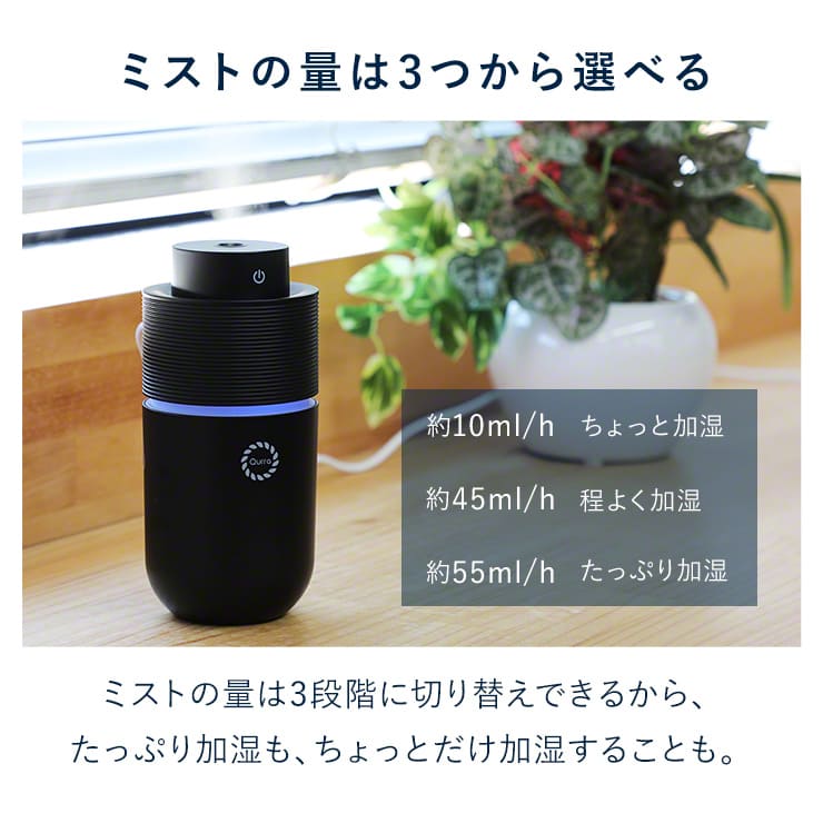 ポータブル加湿器 車内 車用 車載 持ち運び（ブラック）（3R-TMH03）