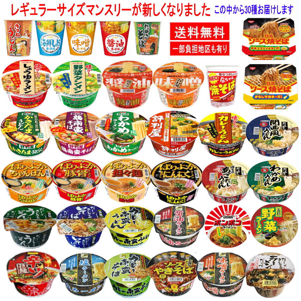 30種 30食セット格安 激安 カップ麺 レギュラーサイズ