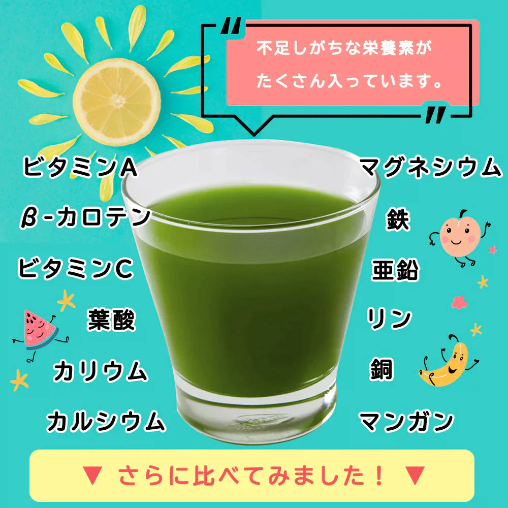 【100円シェア買い】国産 フルーツ青汁 1ヶ月分 90g(3g×30包）[ 青汁 酵素 美容 ダイエット 健康 フルーツ 16種類 の フルーツパウダー と 105種類 の 野菜酵素 無農薬 ]【ご新規さんとシェア買い】