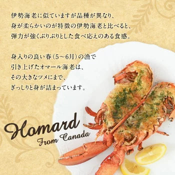 カナダ産 ボイル オマール海老 約350g×4尾［冷凍のみ］【送料無料】【3～4営業日以内に出荷】