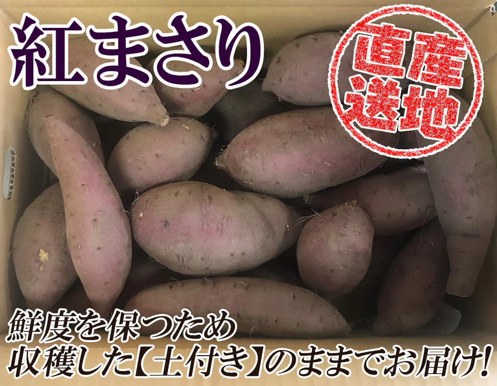 紅まさり さつまいも 5kg 送料無料 産地直送 産直 土付き さつま芋 薩摩芋 焼きいも 焼き芋 石焼き芋 芋 いも イモ 鹿児島県産 ngs-005