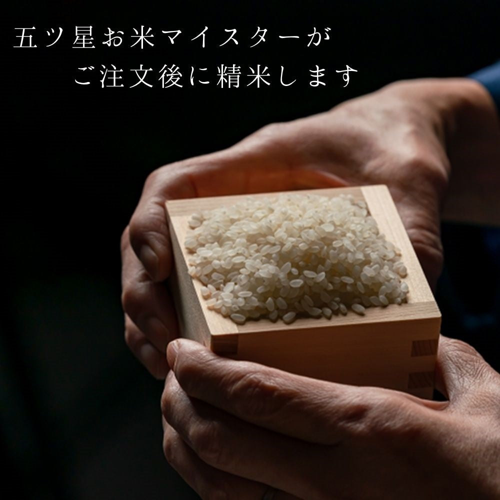 【限定クーポンで20%OFF】【受注精米】 送料無料 【 新潟県産 こしいぶき 】 お米 5kg （5キロ） 米 新潟 令和3年産 ブランド 新潟米