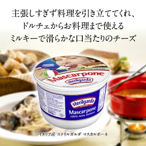 イタリア産 ステリルガルダ マスカルポーネ500g×6個［冷蔵］［賞味期限：2023年3月9日］【1～2営業日以内に出荷】【送料無料】