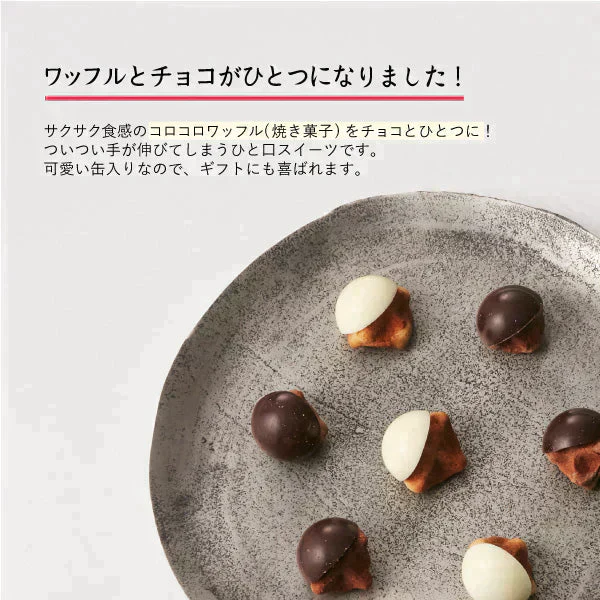 【半額sale 賞味期限4/26】チョココロ【エコ得】